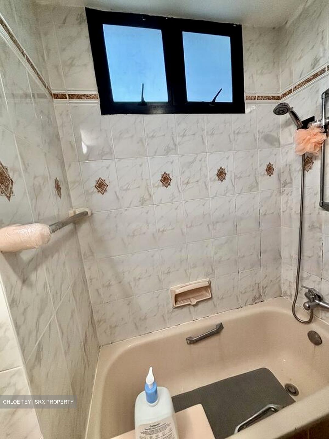 Hume Park I (D21), Condominium #463088201